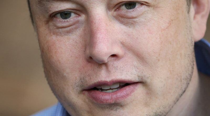 elon musk