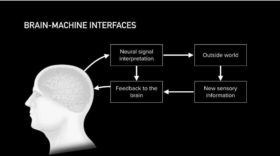 elon musk neuralink