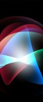 Siri z osobną aplikacją beta już za miesiąc i z premierą na jesień