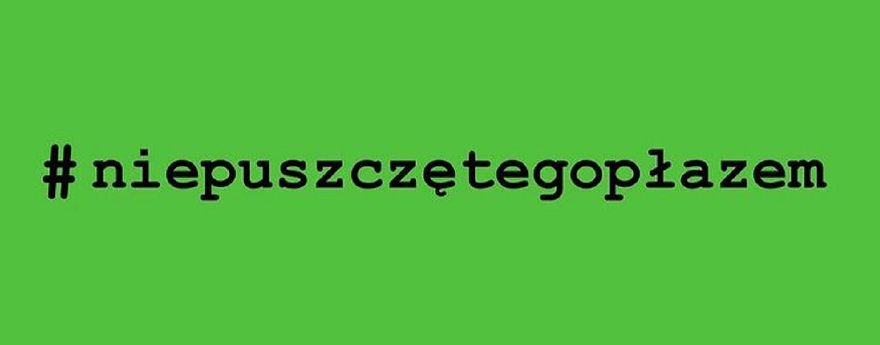 zabka frogshoposting niepuszczetegoplazem