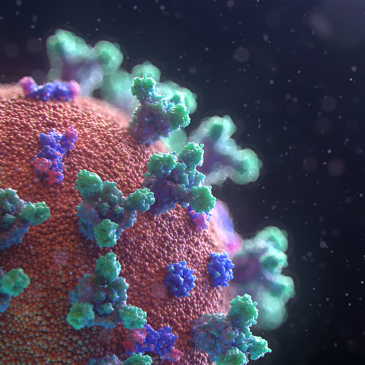 ProteGO Safe Apple Wallet covid-19-szczepienie-internet-podlaczenie