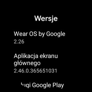 ticwatch pro 3 ultra 23