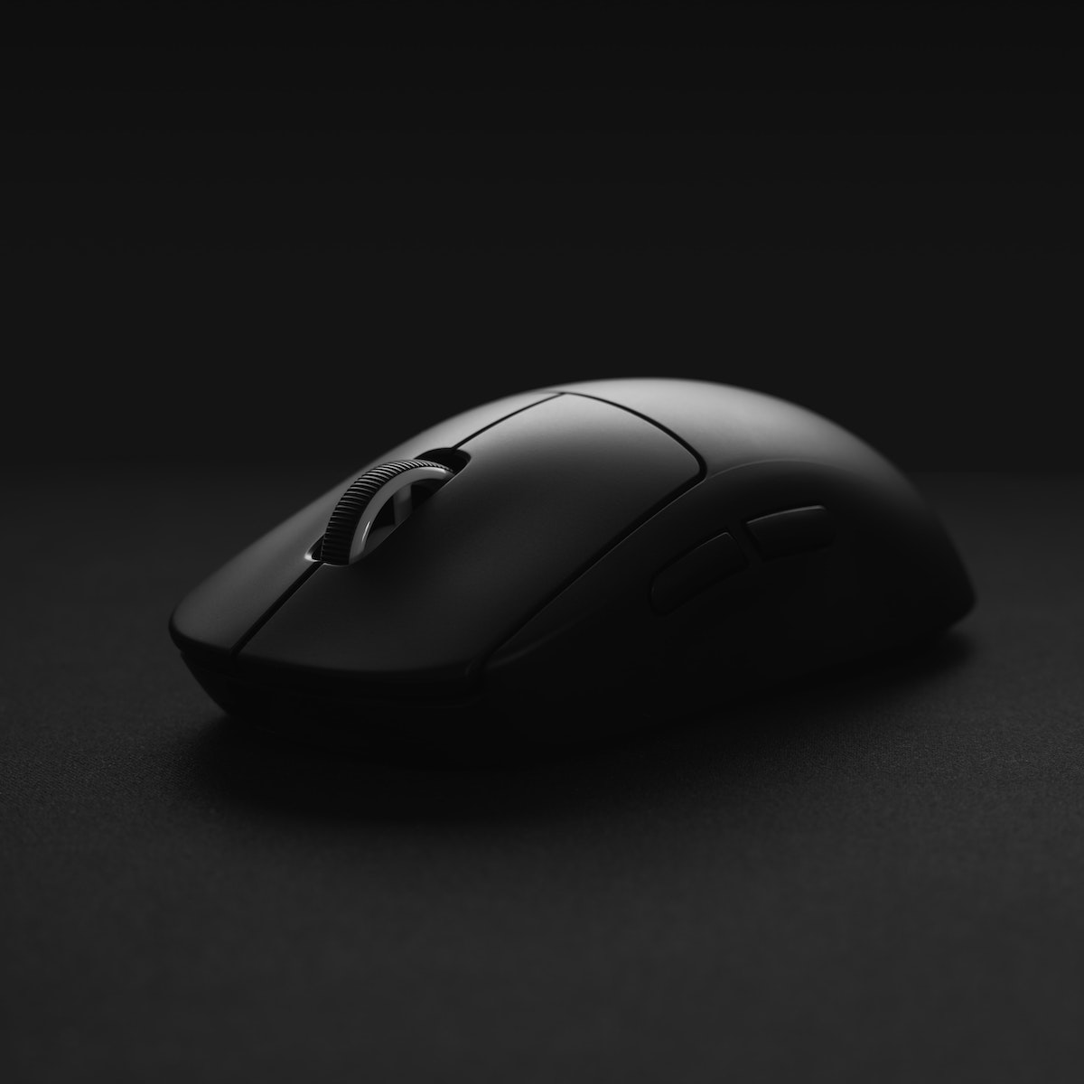 mouse