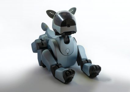 Robot Pies rodem z „Black Mirror”, czyli o potencjalnie realnych zagrożeniach robotyki