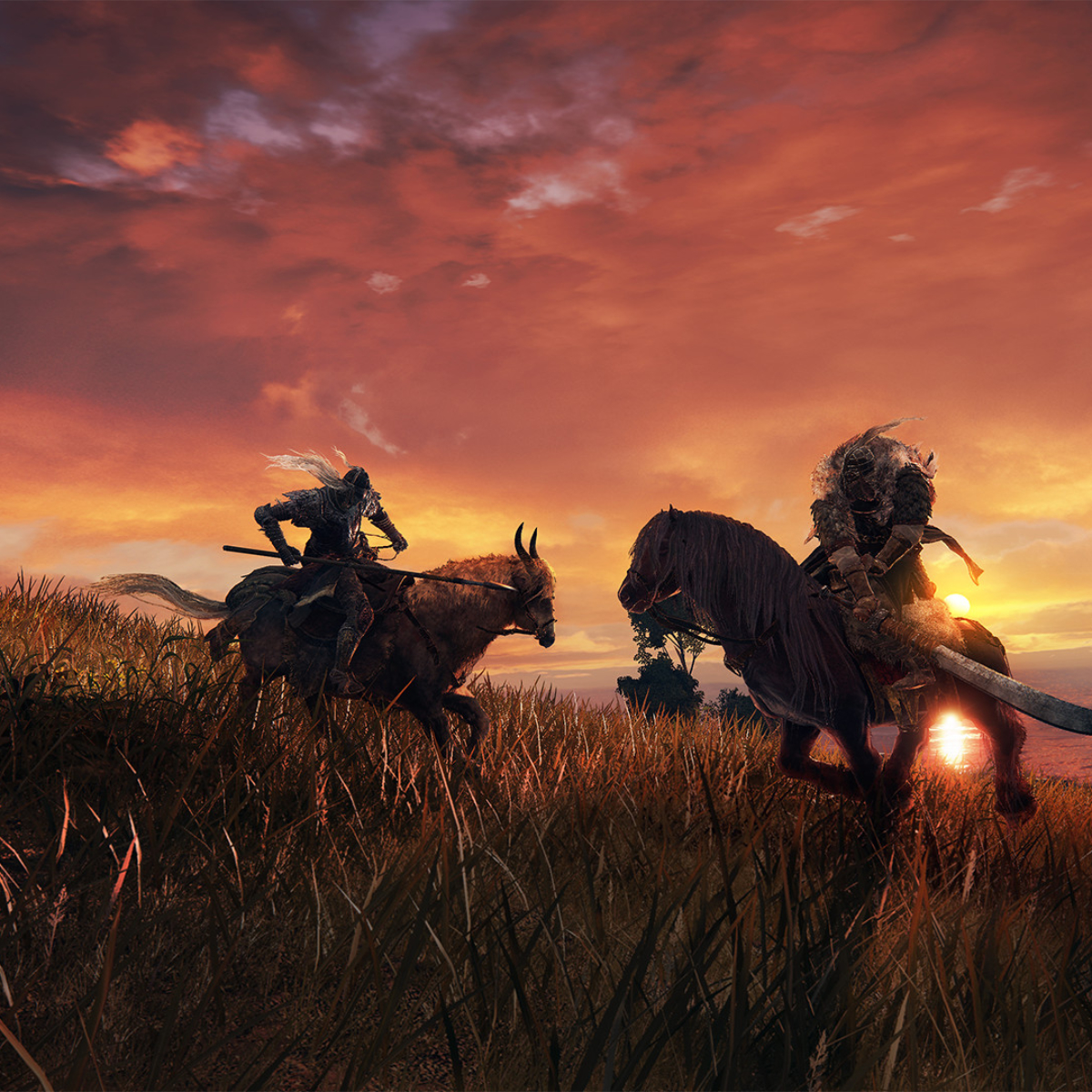 Elden Ring Patch 1.06: