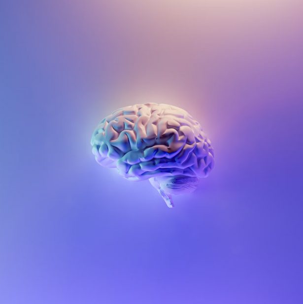 Neuralink: testy na ludziach ruszą w ciągu sześciu miesięcy. Elon Musk wszczepi implant mózgu również sobie