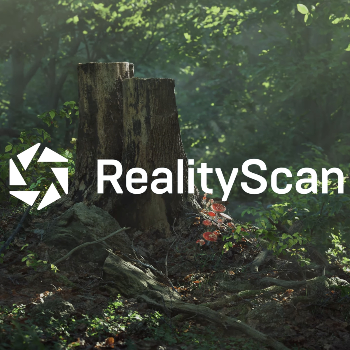 RealityScan