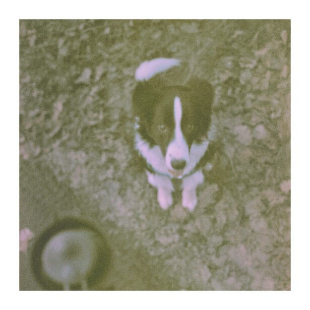 Pamiętacie przeterminowany o 30 lat film Polaroid? Właśnie go wywołałem