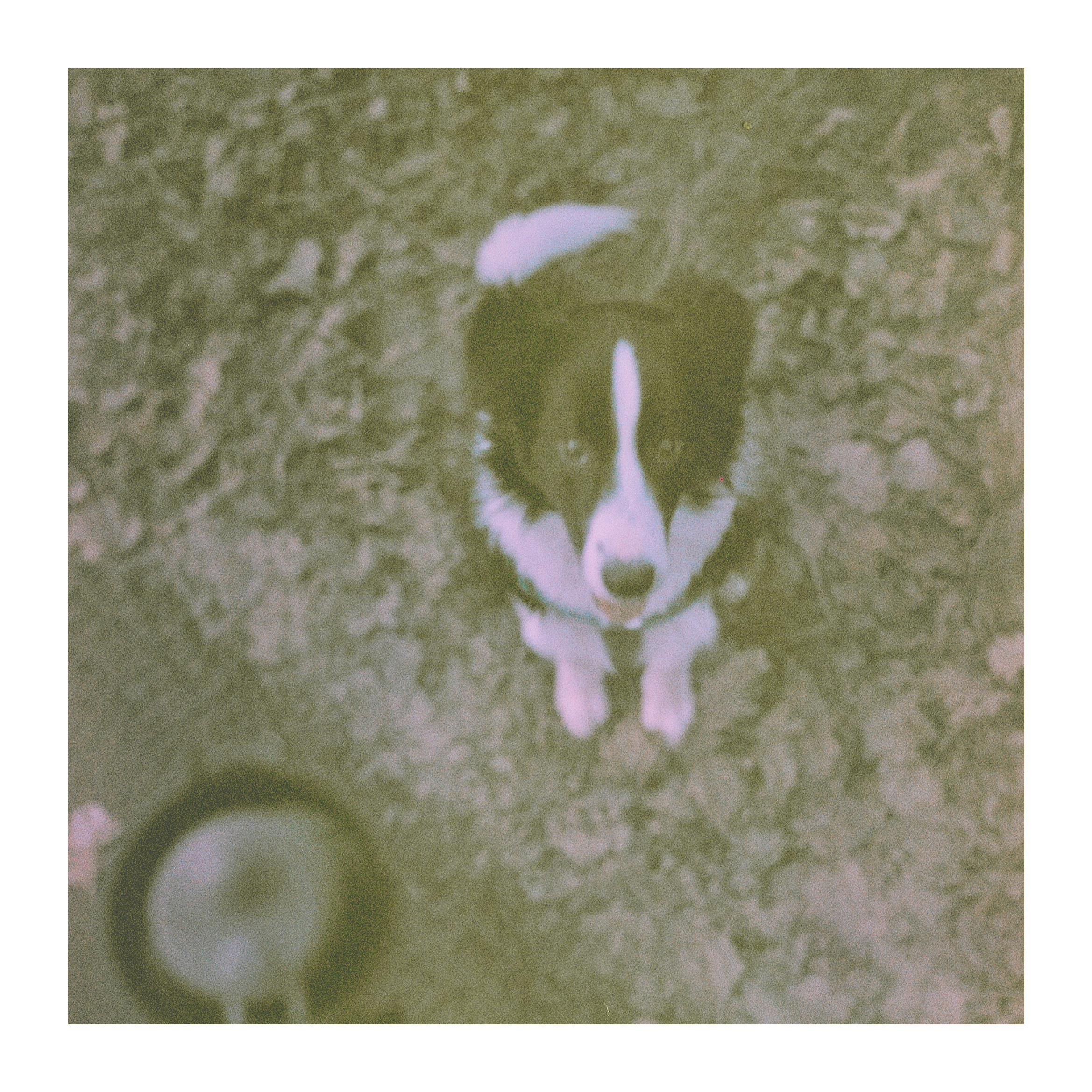 Pamiętacie przeterminowany o 30 lat film Polaroid? Właśnie go wywołałem