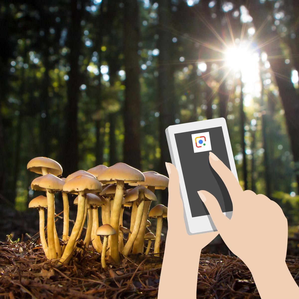 Wyszukiwanie obrazem Google