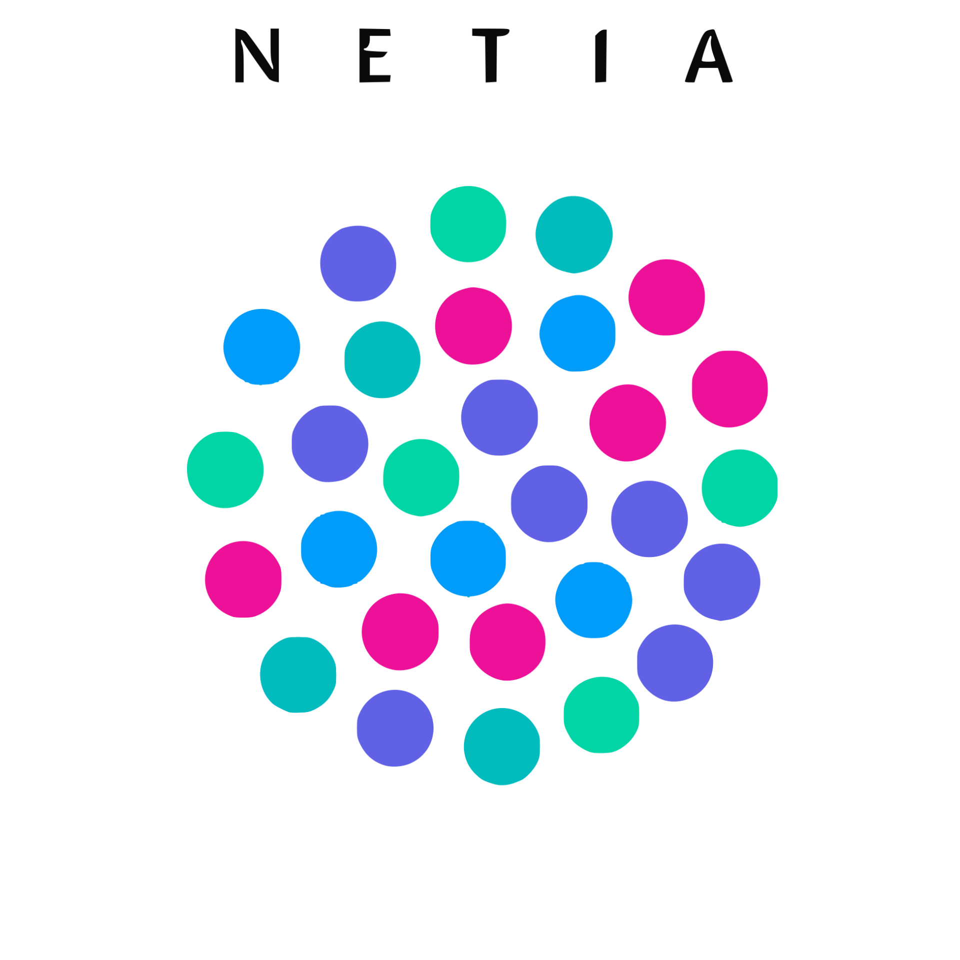 netia 2
