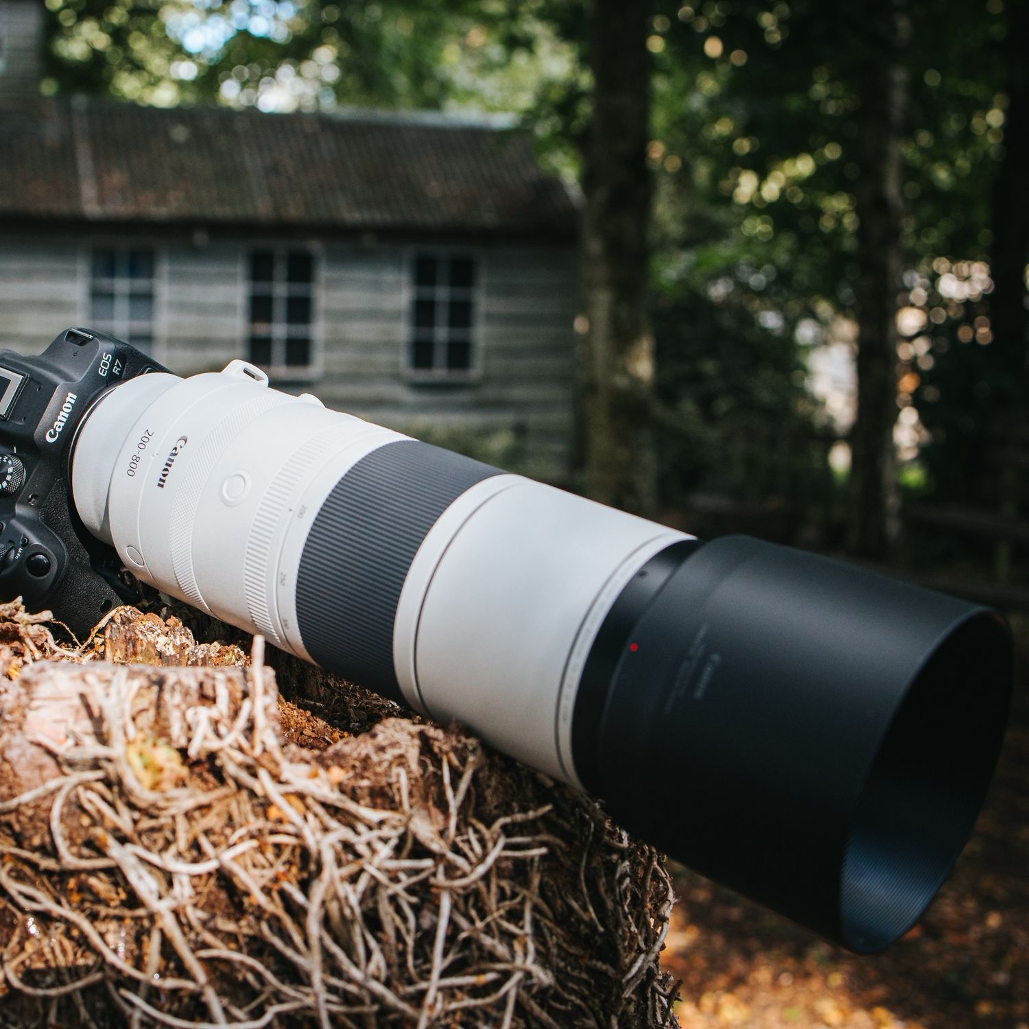 Canon RF