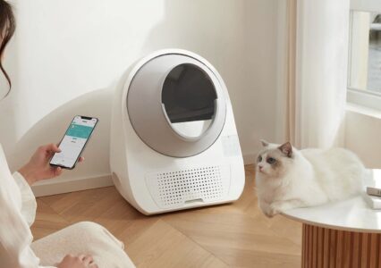 Catlink smart opieka nad kociakami, na nowym poziomie