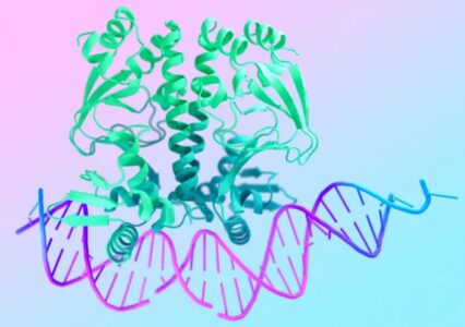 AlphaFold 3 od Google DeepMind ma pomóc w tworzeniu leków. Czy naukowcy otrzymają niezawodne wsparcie AI?