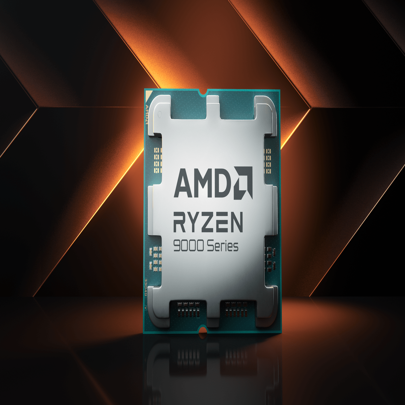 AMD 1 (1)