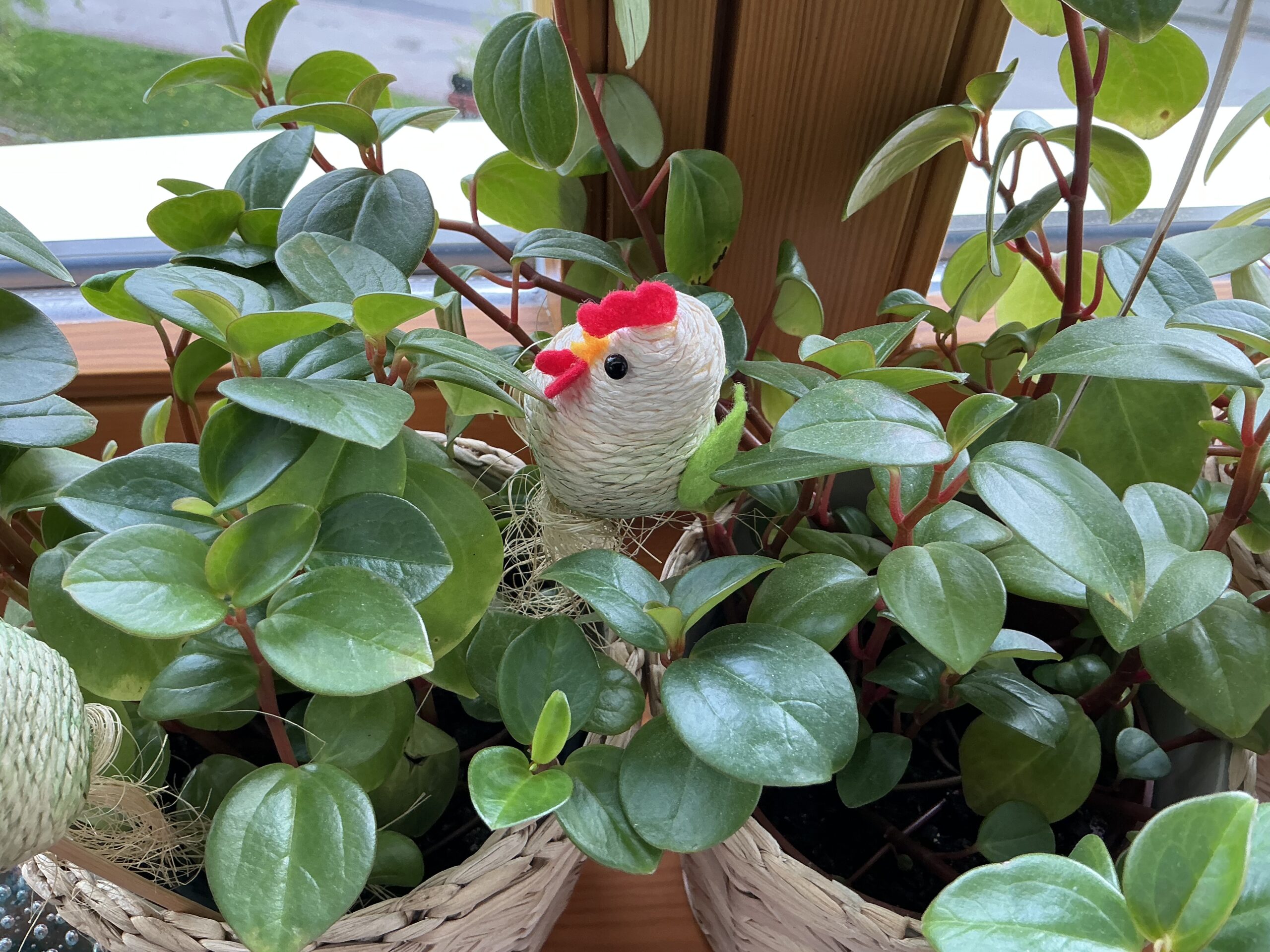 iPad Air 11 z M3 – nic lepszego raczej nie potrzebujecie 30 IMG 0011 scaled