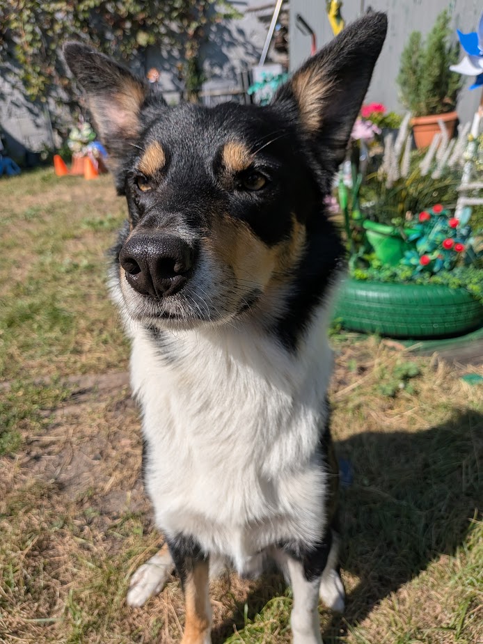 Google Pixel 10 cieszy istotnymi zmianami. Pierwsze wrażenia 24