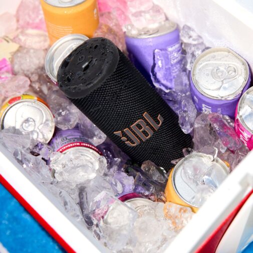 JBL Grip