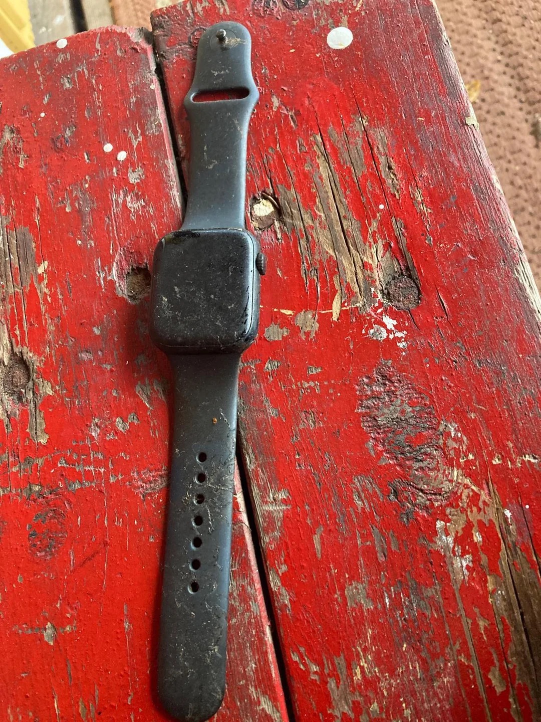 Apple Watch przeleżał 1,5 roku pod wodą w jeziorze. Okazuje się, że nadal działa! 5 Apple Watch 7