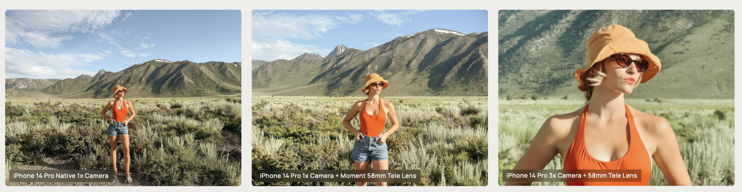 Zrzut ekranu 2026 01 30 o 11.26.37 scaled