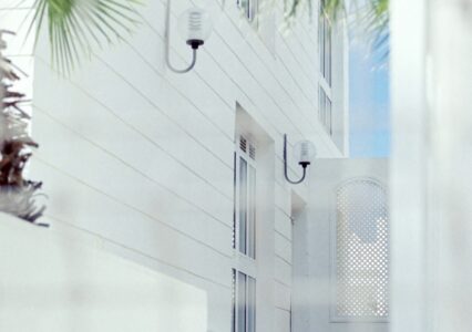 Sprawdziłem Film Candido 200 i Contax ARIA z Zeiss 35-70 f3.4 w pięknych okolicznościach #analoglife