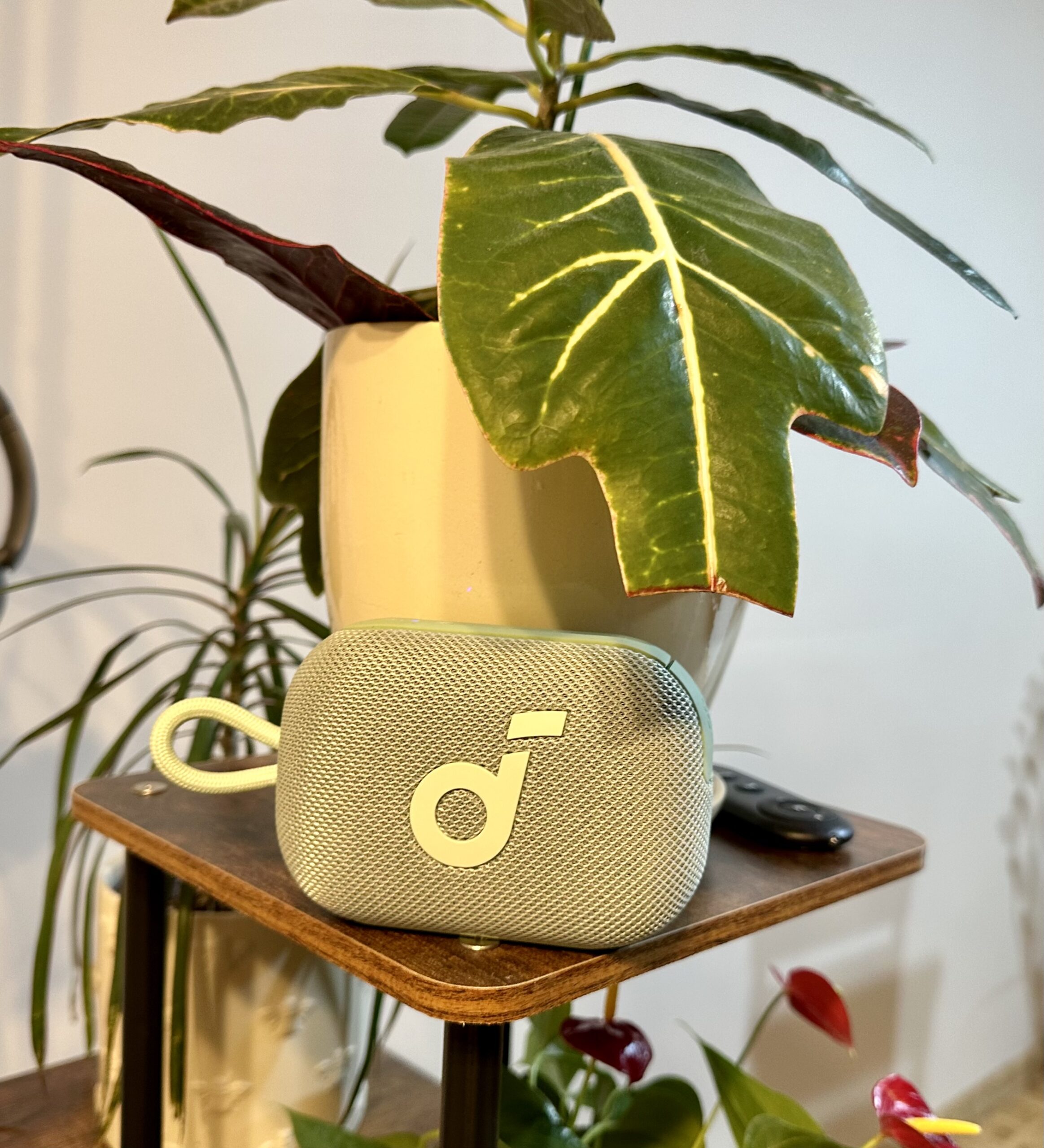 Test Soundcore Select 4 Go. Niewielki głośnik, który dobrze zna swoje miejsce 21 anker select 4 go 10 scaled