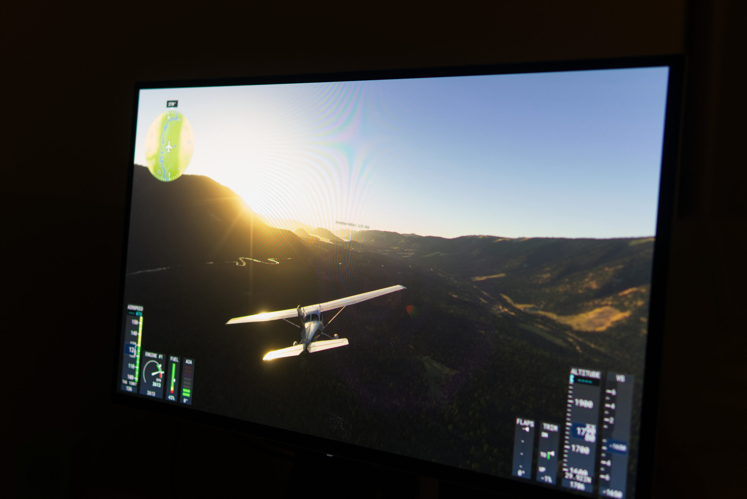 flightsim scaled