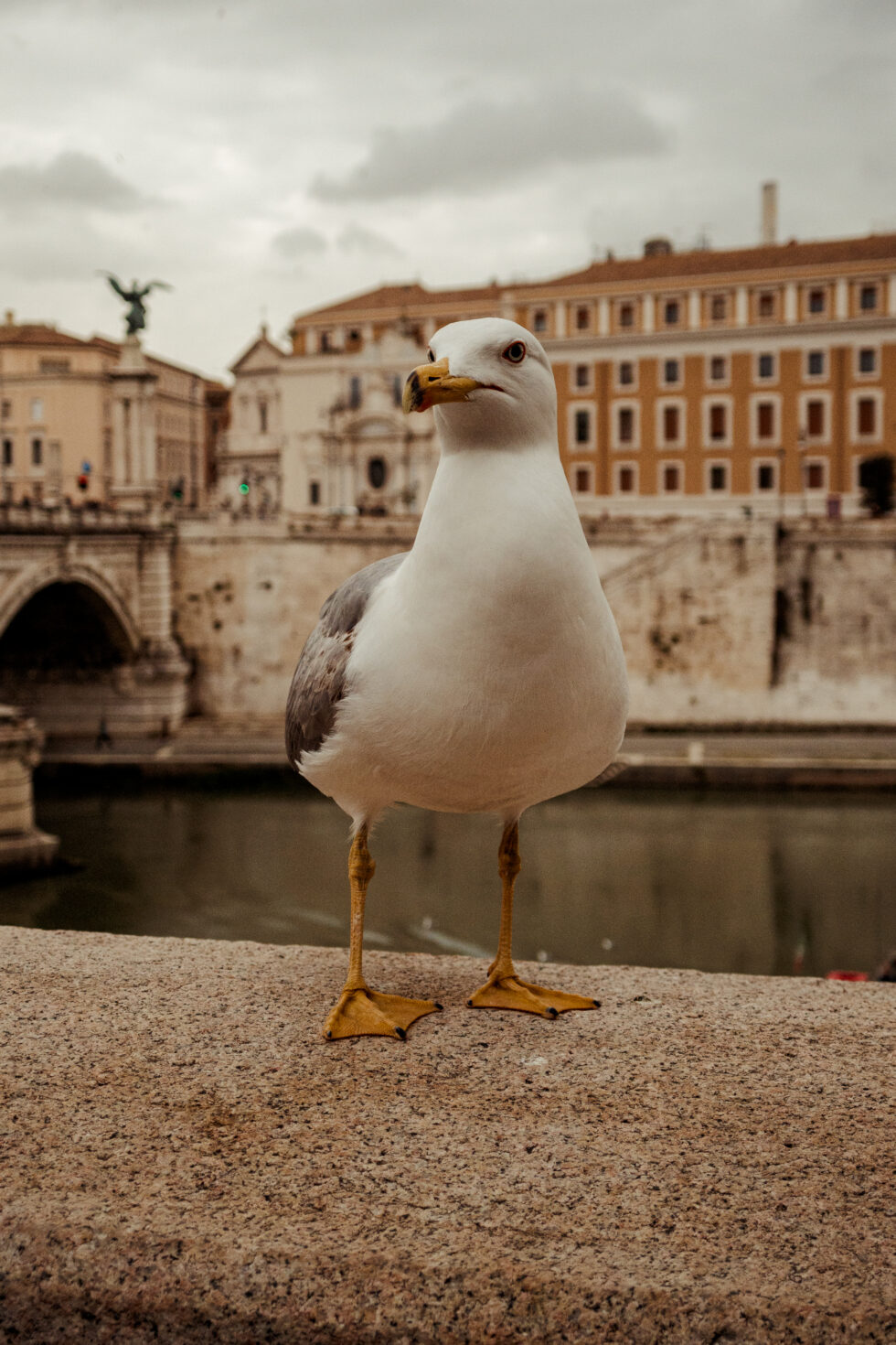 canon powershot v1 sample27