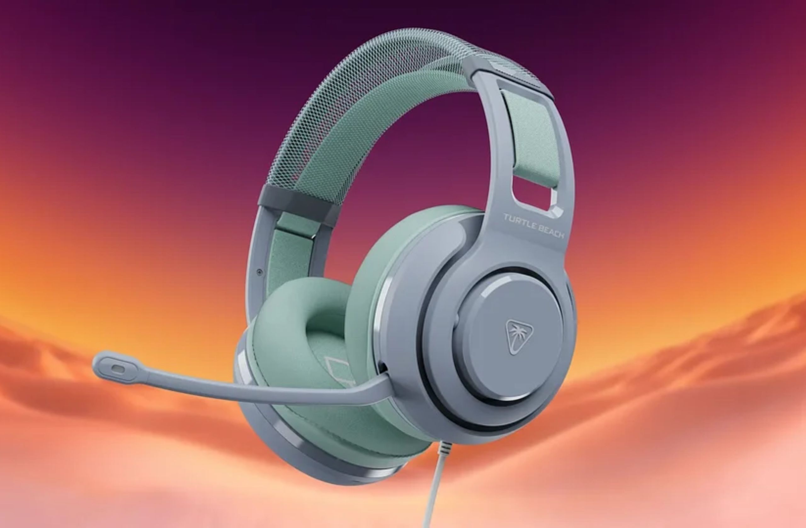 Turtle Beach Turtle Beach